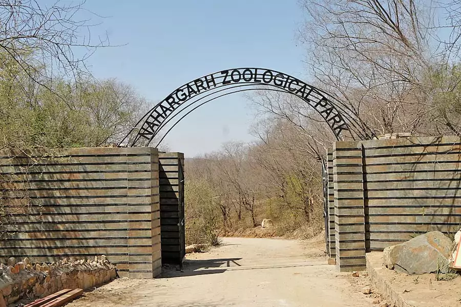 Nahargarh Biological Park Jaipur – Ticket Price Timings and Wildlife Safari